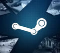 10 x Mystery PC Steam CD Key