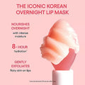 LANEIGE Dreamy Lip kit 4 Piece