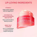 LANEIGE Dreamy Lip kit 4 Piece