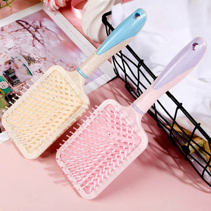 Brosse à cheveux IVVG